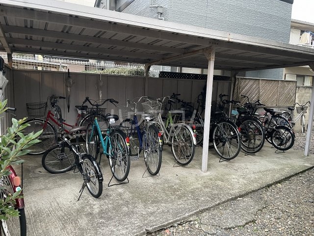 3/13 その他画像