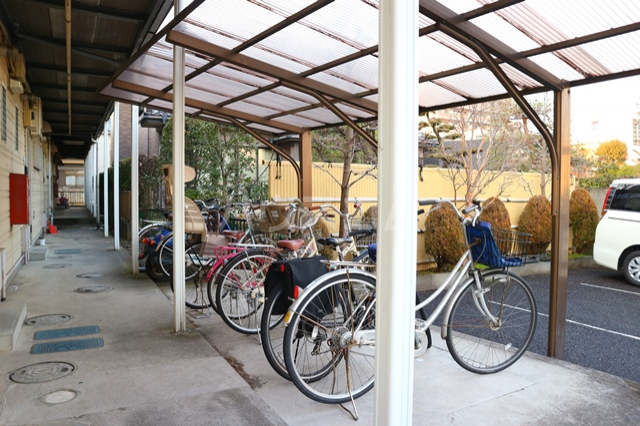 19/25 その他画像