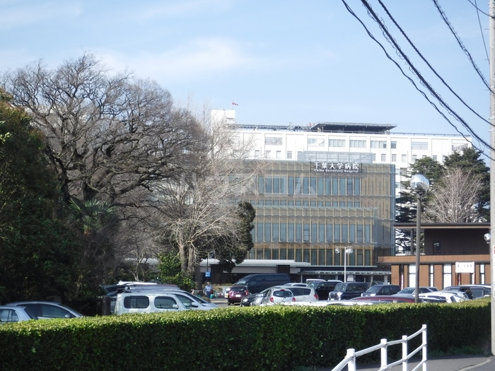 16/19 その他画像