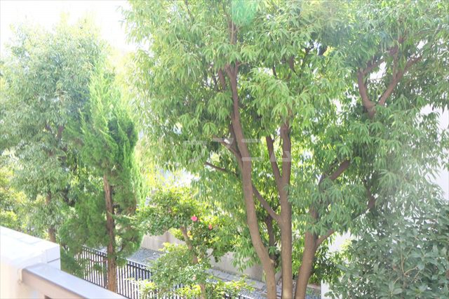 17/29 その他画像