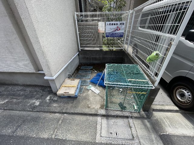 20/30 その他画像