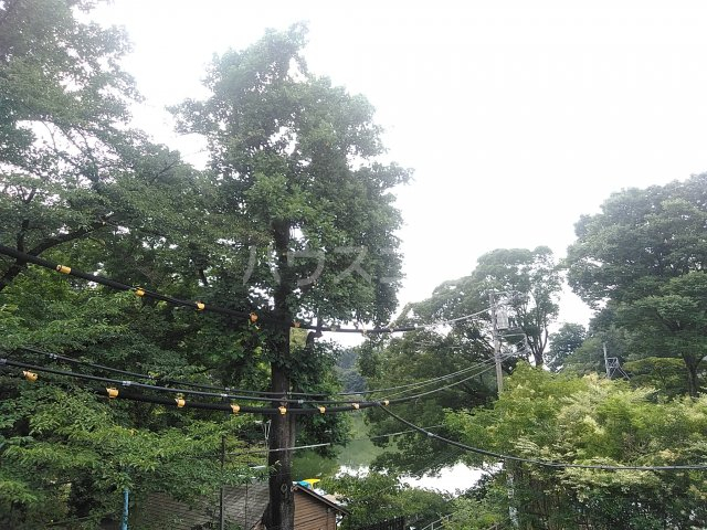 24/30 その他画像