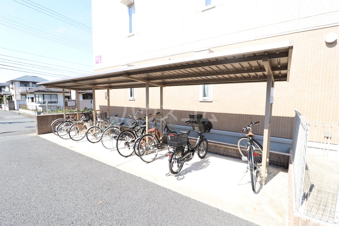 15/17 その他画像