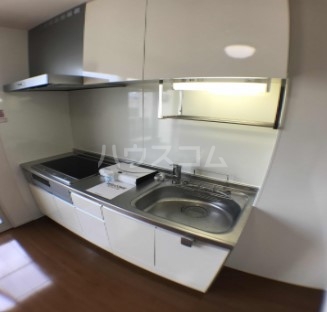 3/13 その他画像