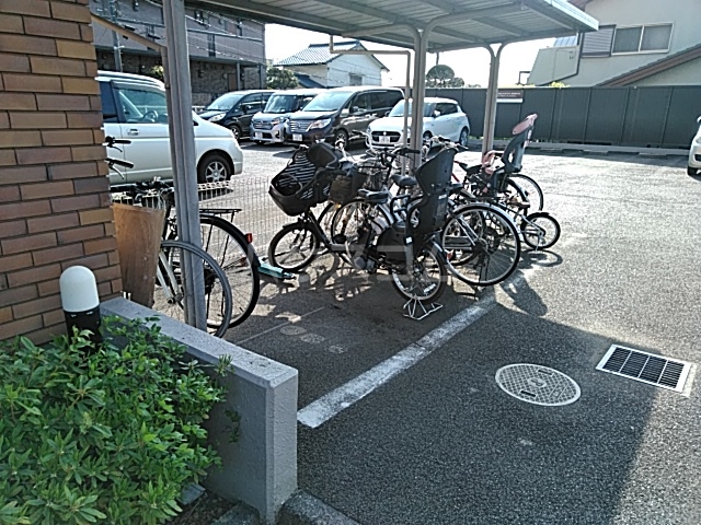 その他共有