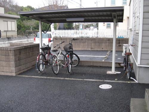 15/19 その他画像