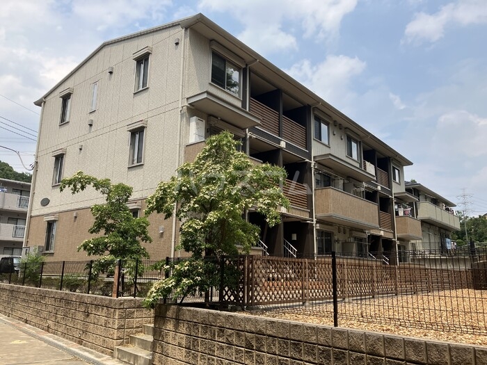 11/19 その他画像