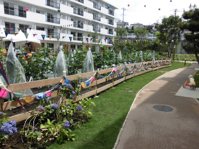 14/28 その他画像