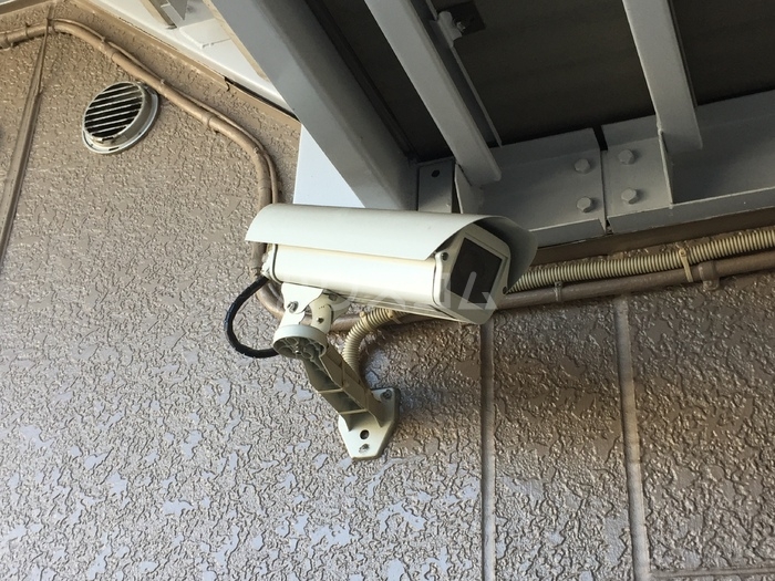 17/29 その他画像