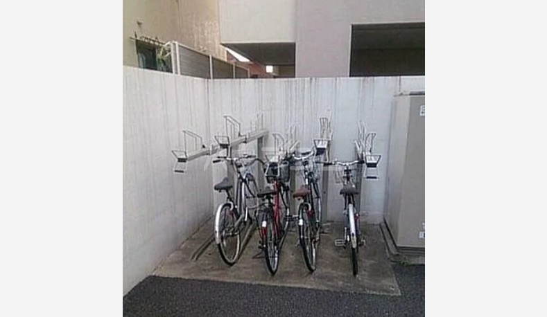 11/25 その他画像