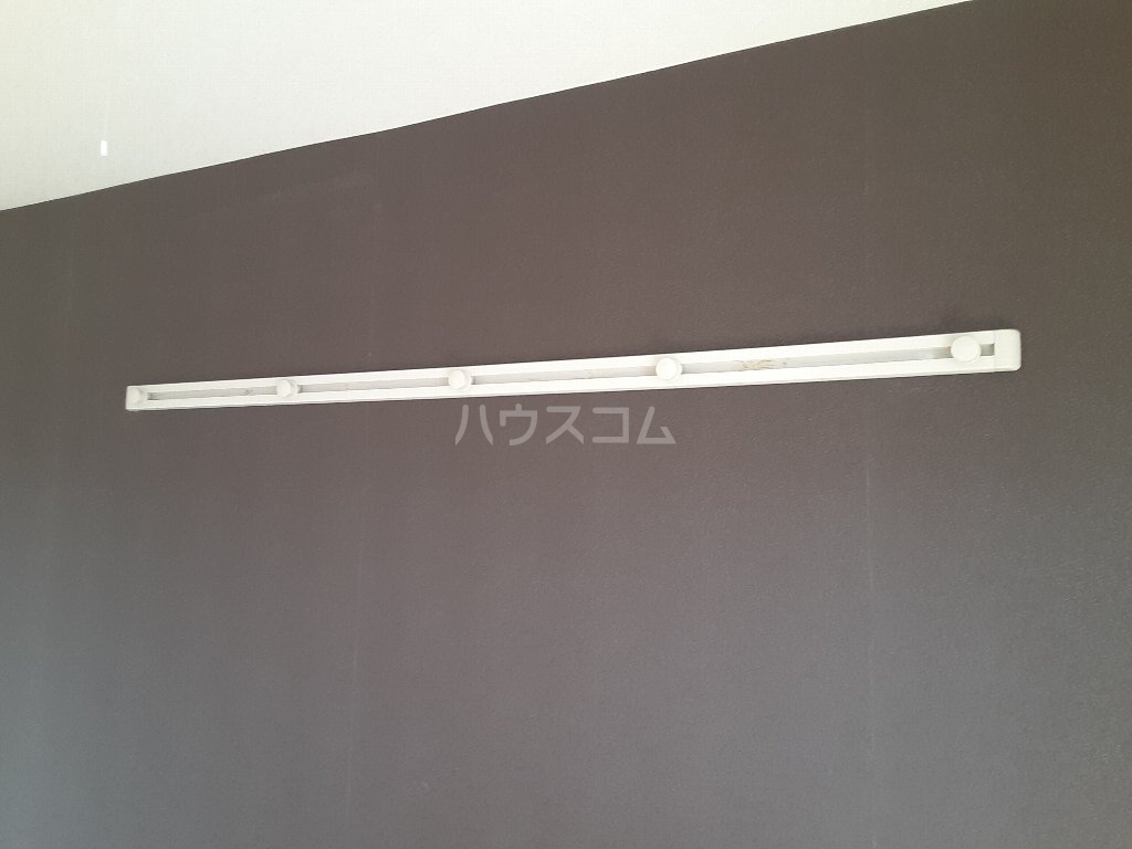 17/25 その他画像