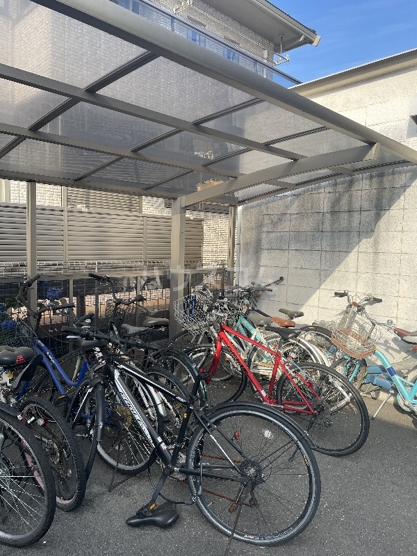 20/30 その他画像