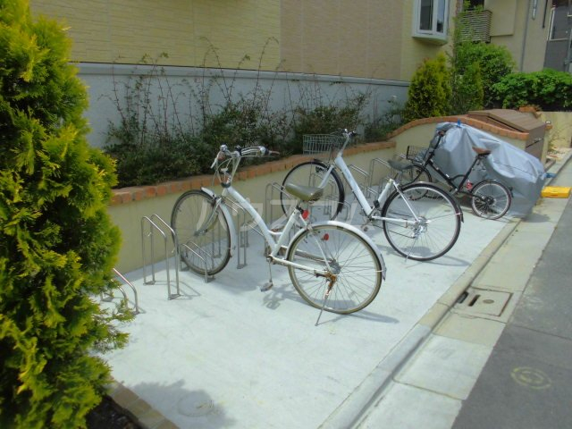 その他画像