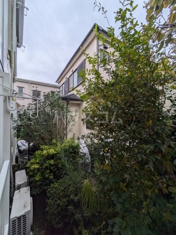 8/19 その他画像