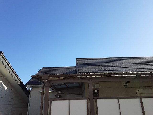 17/29 その他画像