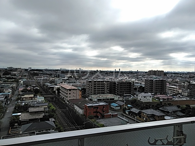 20/30 その他画像