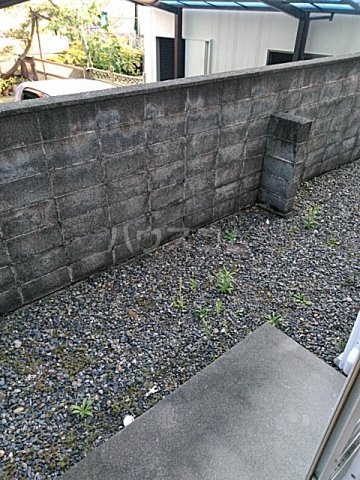 11/15 その他画像