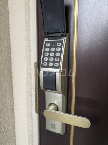 17/25 その他画像