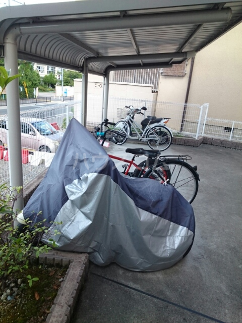 12/24 その他画像