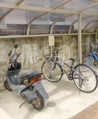 8/19 その他画像