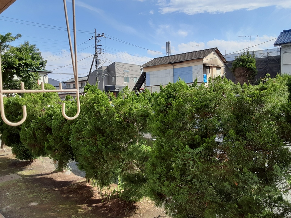 20/30 その他画像