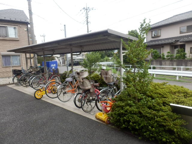 20/30 その他画像