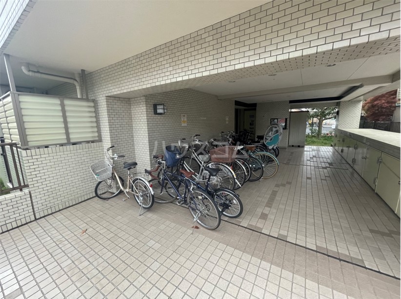 20/30 その他画像