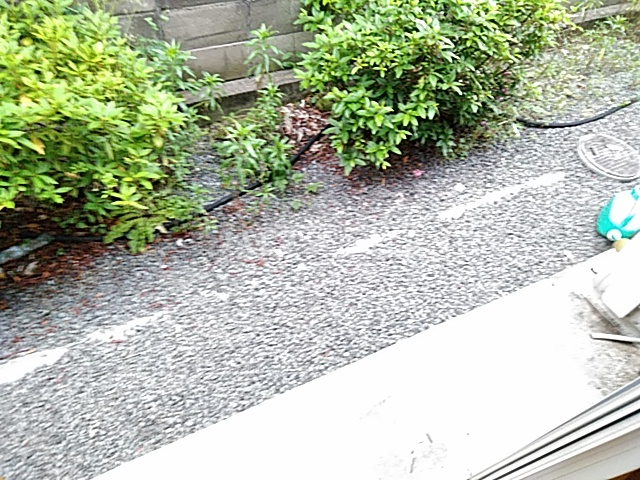 10/24 バルコニー