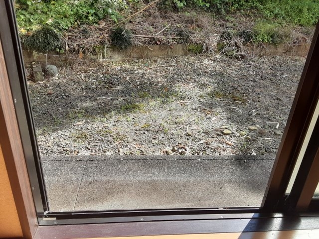 17/24 その他画像