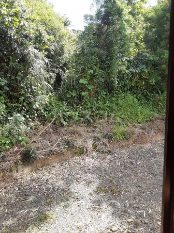 18/24 その他画像