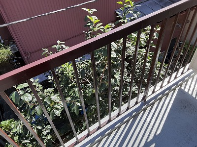 11/25 バルコニー