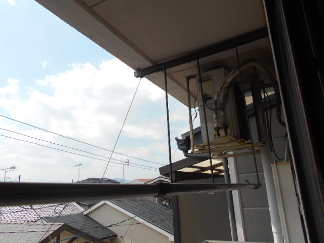 14/24 その他画像