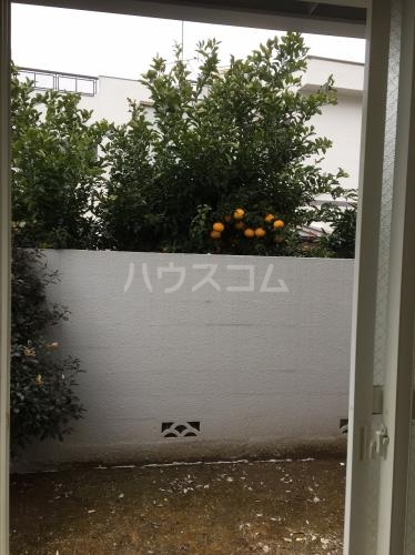 11/24 バルコニー