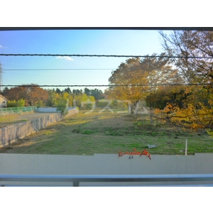 11/21 その他画像