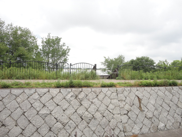 12/21 その他画像