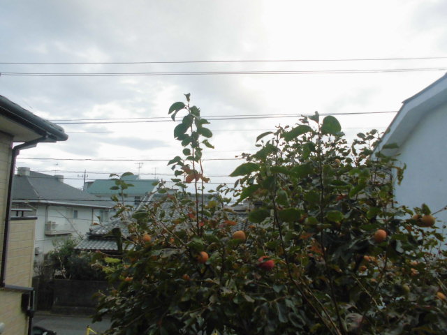景色