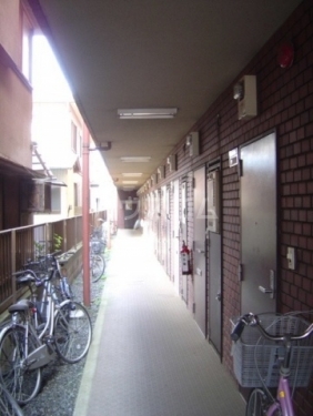 14/26 その他画像