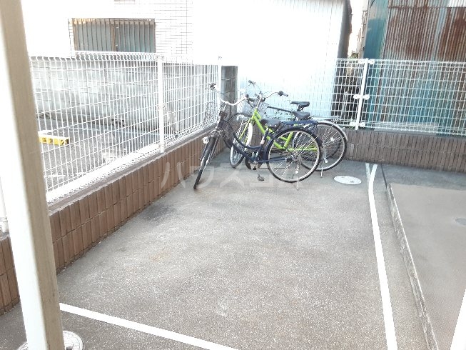 20/30 その他画像