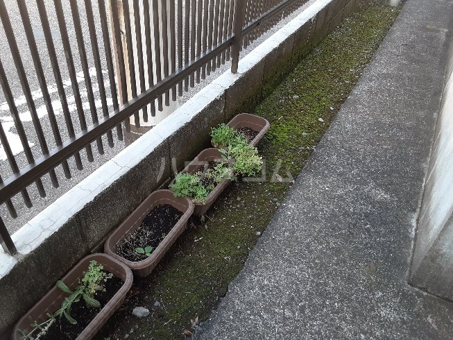 18/29 その他画像