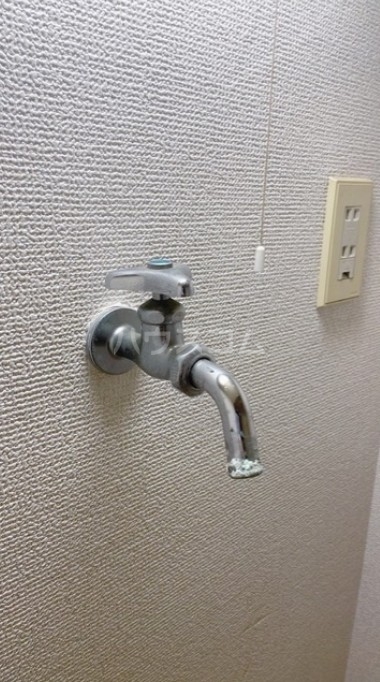 19/29 その他画像