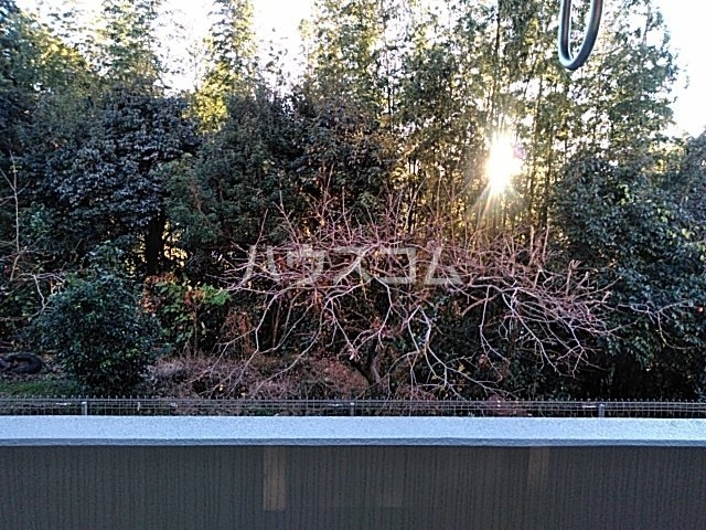 17/22 その他画像