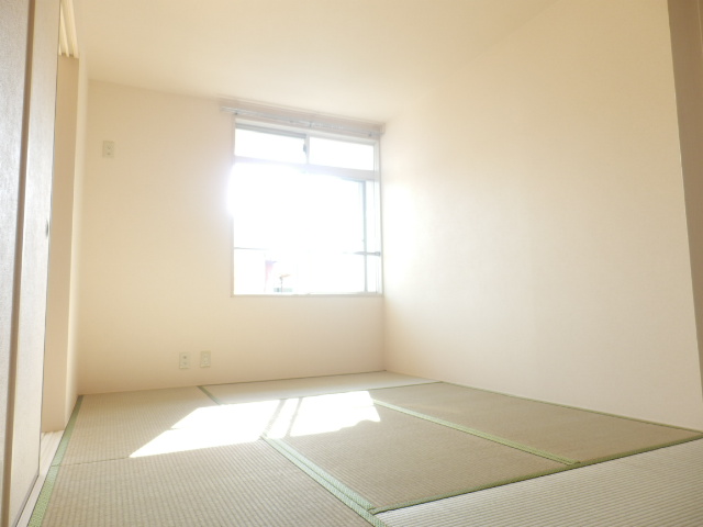 19/24 その他画像