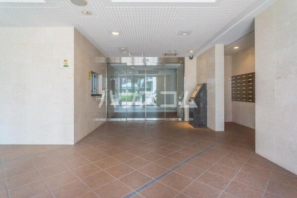 3/15 その他画像