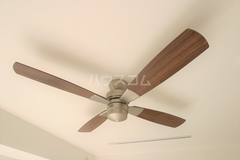 29/30 その他画像