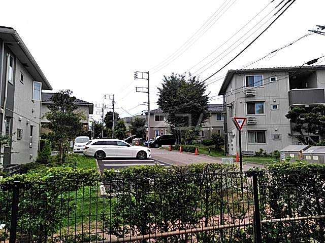 20/30 その他画像