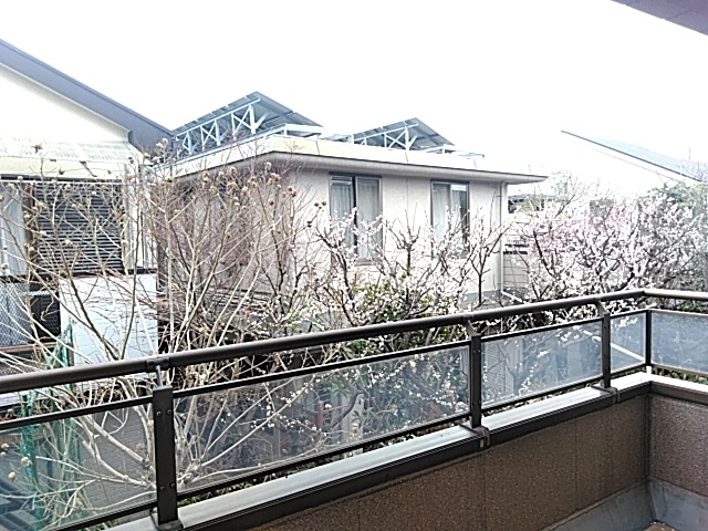 21/25 その他画像