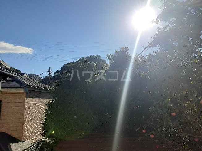 21/30 その他画像