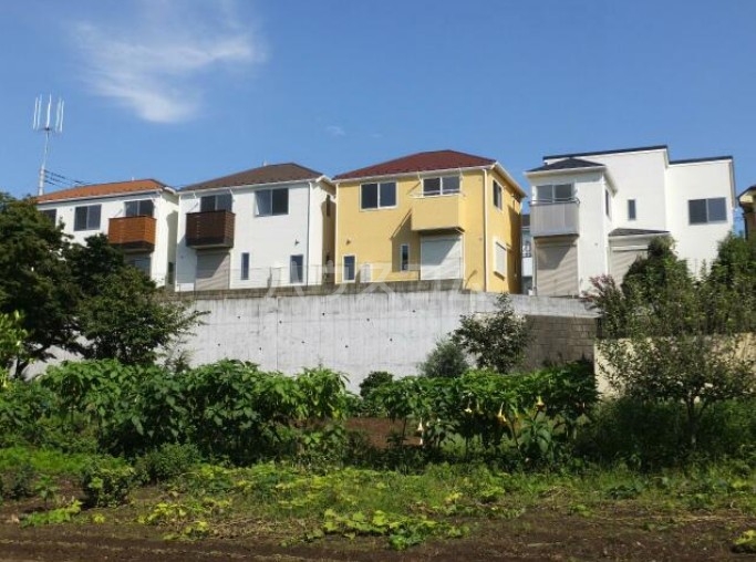 21/30 その他画像