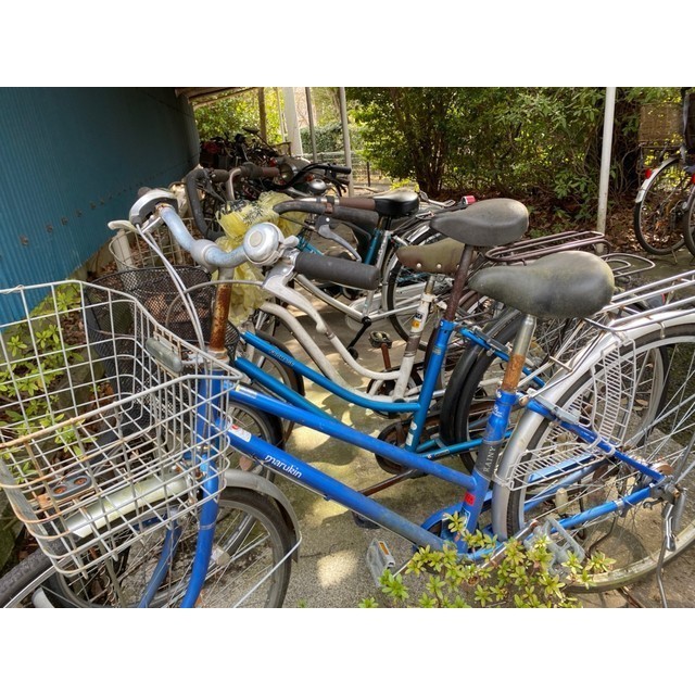 16/30 その他画像