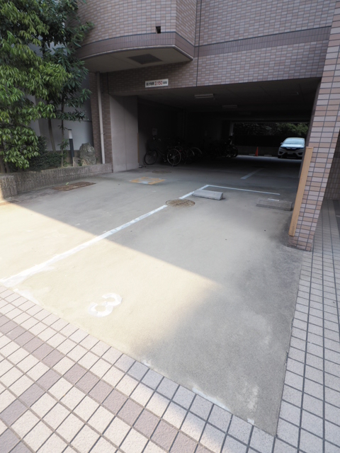 その他共有